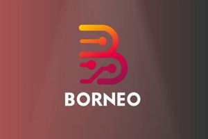 Borneo_Schematics